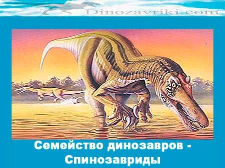 Открытки